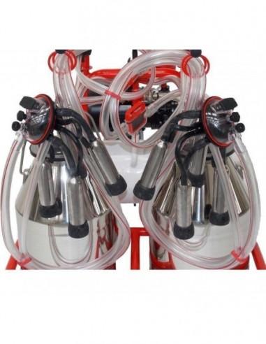 tettarelle mungitura e mungitrice bovini a due gruppi e bidoni