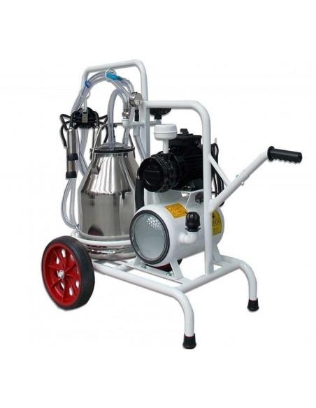 Mungitrice bovini a un gruppo mungitura