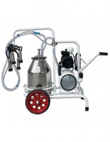 lato carrello e mungitrice bovini a un gruppo mungitura