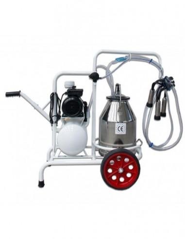 lato destro e mungitrice bovini a un gruppo mungitura