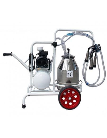 lato destro e mungitrice bovini a un gruppo mungitura