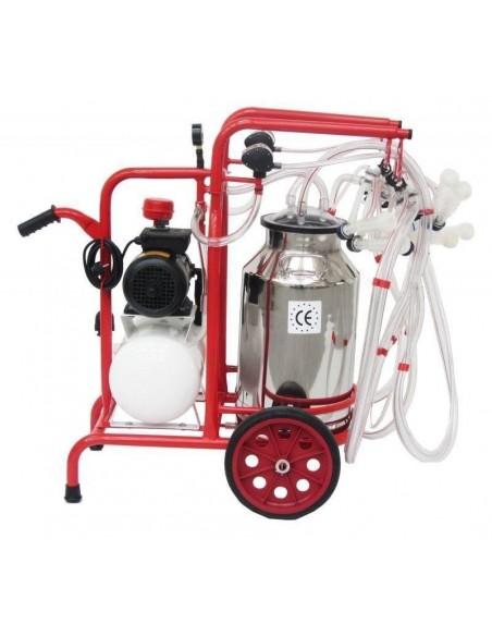 lato destro e mungitrice pecora quattro gruppi mungitura