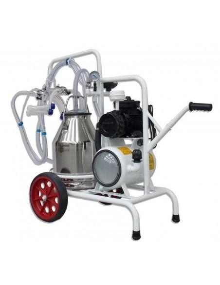 Mungitrice pecore due gruppi mungitura