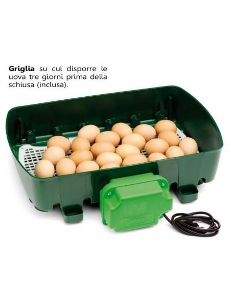 incubatrice da 24 uova gallina