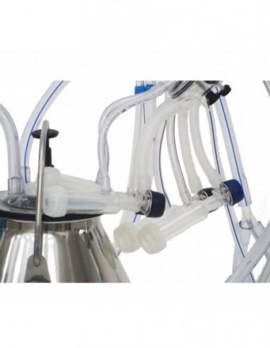 tettarelle e mungitrice pecore due gruppi mungitura