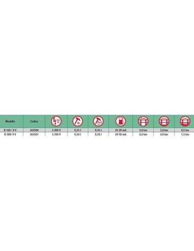 Recinto elettrico B300