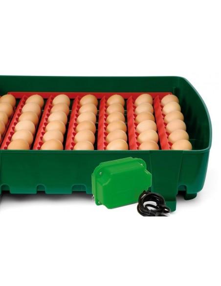 Incubatrice uova Eggs ET 49 semi-automatica Incubatrice uova Eggs ET 49 semi-automatica