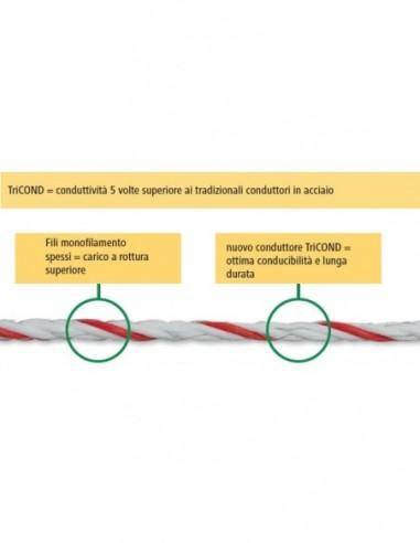 schema corda profi tricond con recinto elettrico