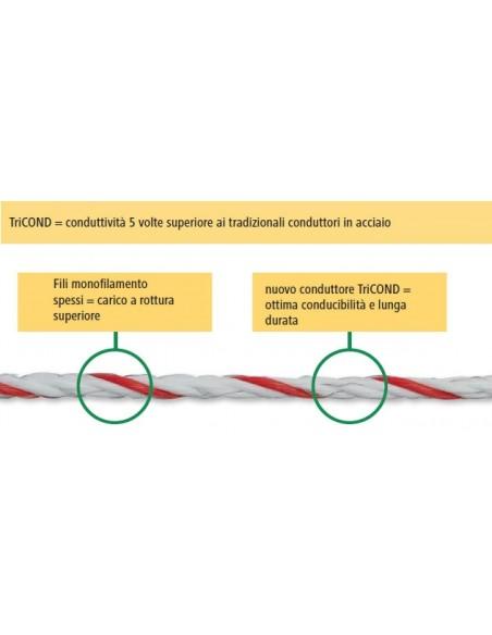 schema corda profi tricond con recinto elettrico