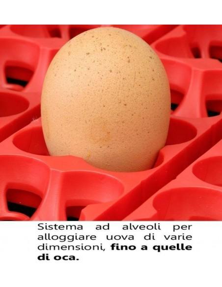 Incubatrice uova Eggs ET 49 semi-automatica Incubatrice uova Eggs ET 49 semi-automatica