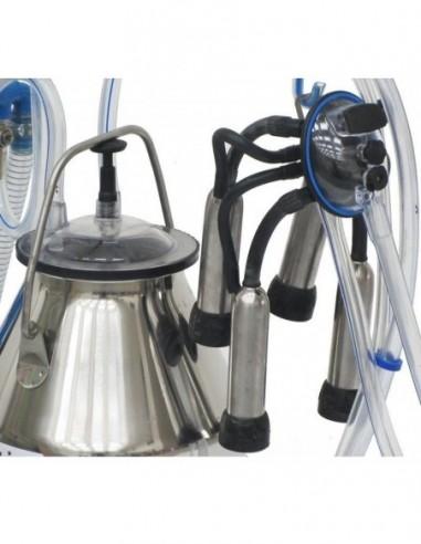 Pulsatore con mungitrice mucca e bovino da latte