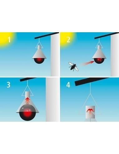 disegno assemblaggio trappola per tafani mini