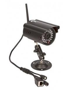 Telecamera box cavallo