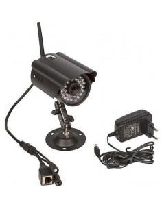 Telecamera box cavallo 2