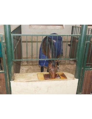 vido con telecamera box cavallo