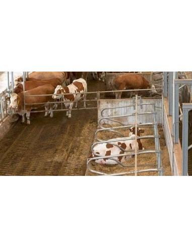 schema di telecamera videosorveglianza animali