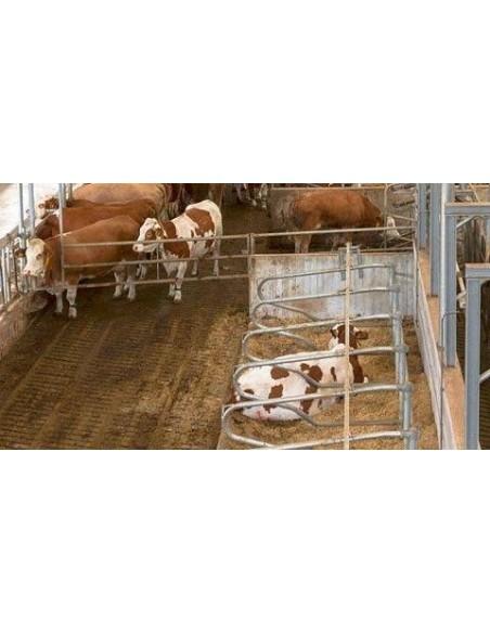 schema di telecamera videosorveglianza animali