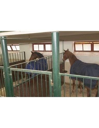 Telecamera box cavallo vidosorveglianza