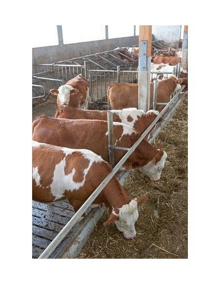 videosorveglianza con telecamera wireless per trailer e scuderia