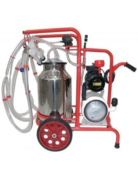 lato mungitrice per ovini