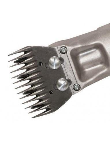 set lame e tosatrice per pecora