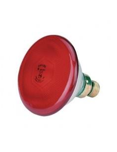Lampada raggi infrarossi per riflettore cani 175W