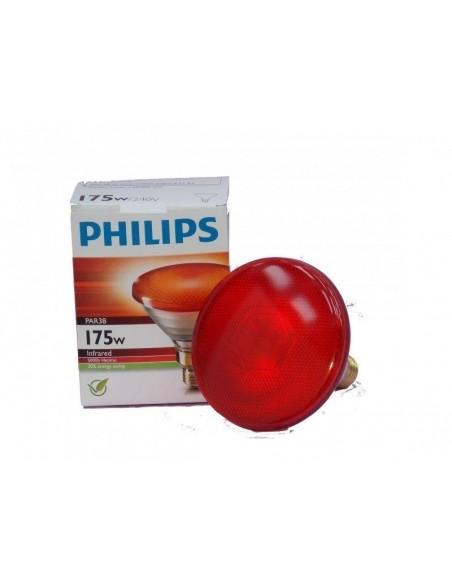 Lampada per pulcini e gallina