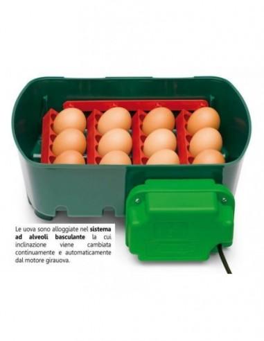 incubatrice uova 
