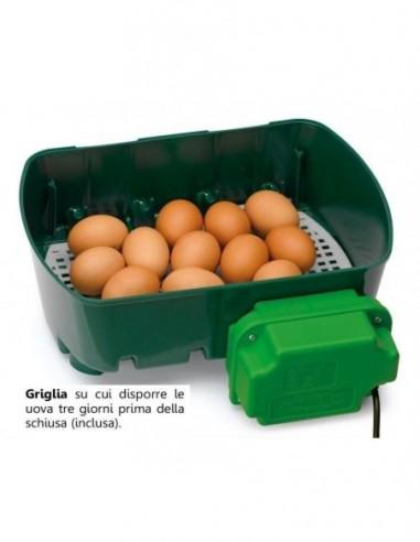 incubatrice uova 