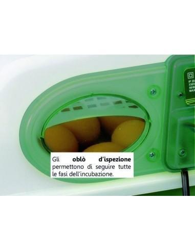 incubatrice da 24 uova gallina