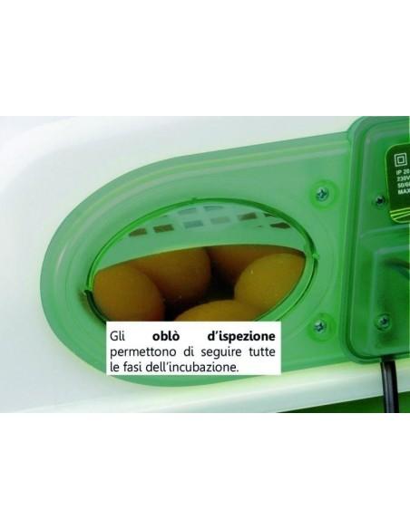 Incubatrice per uova di galline 49