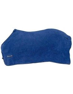 Coperta e cavallo in paddock