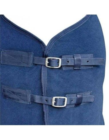 Coperta e cavallo in paddock