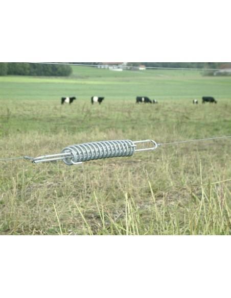 Molla nel recinto elettrico e pascolo animali
