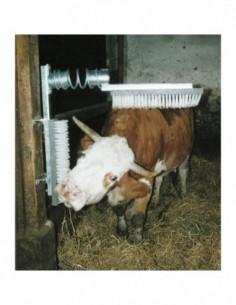 Spazzola pulizia dorso animale in acciaio per bovini e equini 2