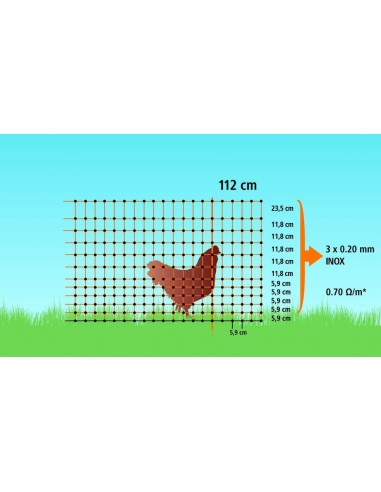 misure del disegno recinto elettrico polli