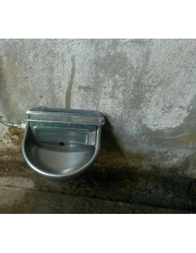 Abbeveratoio automatico per cani