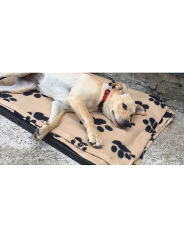 Pedana riscaldante per cani grande