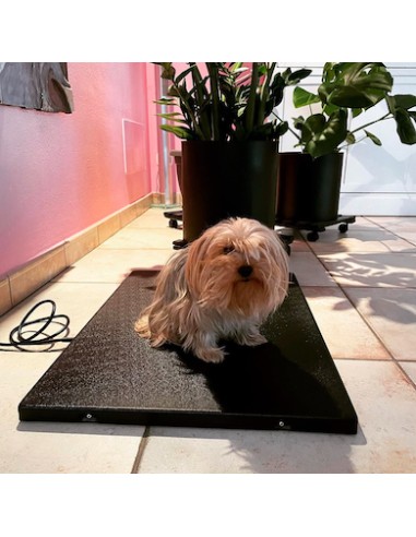 Pedana riscaldante per cani grande | Attrezzature zootecniche FDA