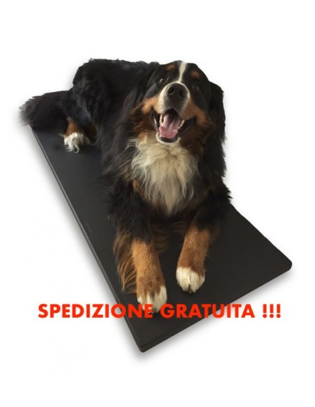 Pedana riscaldante per cani grande