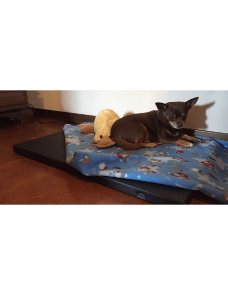 Pedana riscaldante per cani piccola