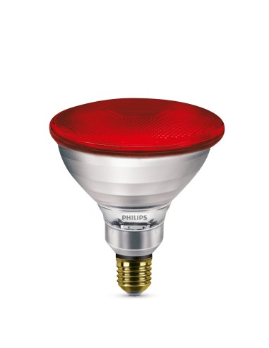 Lampada raggi infrarossi per riflettore conigli e roditori 175W | Attrezzature zootecniche FDA