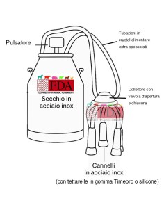 Secchio mungitore in acciaio inox per vacca 2