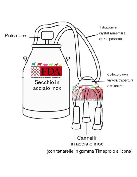 schema secchio bidone mungitore per vacca fda