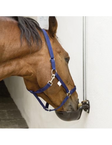 Cavallo che beve da abbeveratoio smaltato nero a pendolo automatico