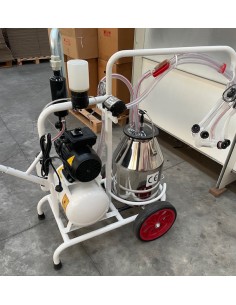 Mungitrice per capre o pecore a bagno d'olio.