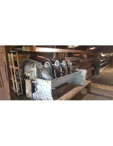 Dettaglio della mangiatoia autocatturante a 4 posti per piccoli ruminanti.