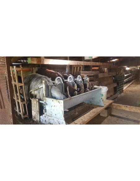 Dettaglio della mangiatoia autocatturante a 4 posti per piccoli ruminanti.