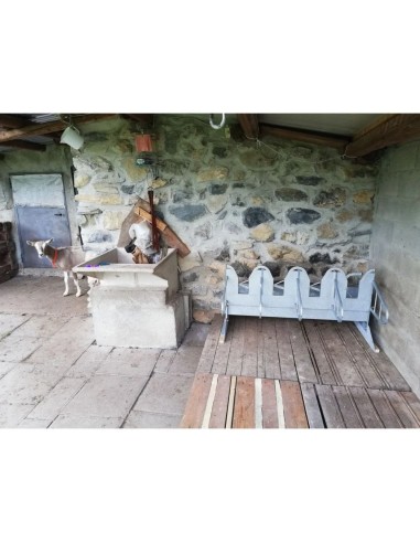 Mangiatoia Autocattura Modulare 4 Poste per Pecore e Capre – Zincata a Caldo | Made in Italy