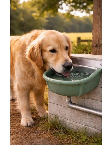 Cane che beve nell'abbeveratoio a livello costante in ghisa FDA